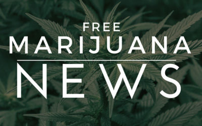Free Marijuana News